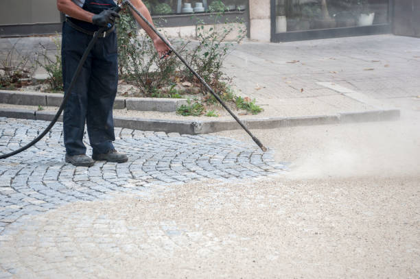 Best Pre-Holiday Cleaning  in Wink, TX
