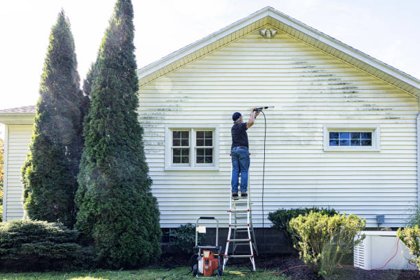 Best Building Exterior Washing  in Wink, TX